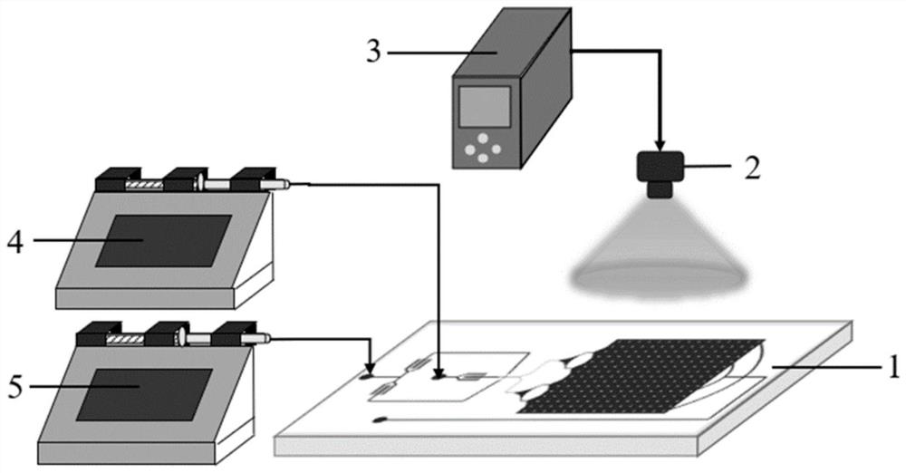 Photocuring oil phase for preparing photocuring droplet array chip, and preparation method, product and application of photocuring droplet array chip