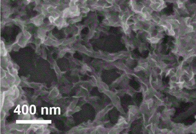 Tungsten disulfide/graphene nanobelt composite material and preparation method thereof