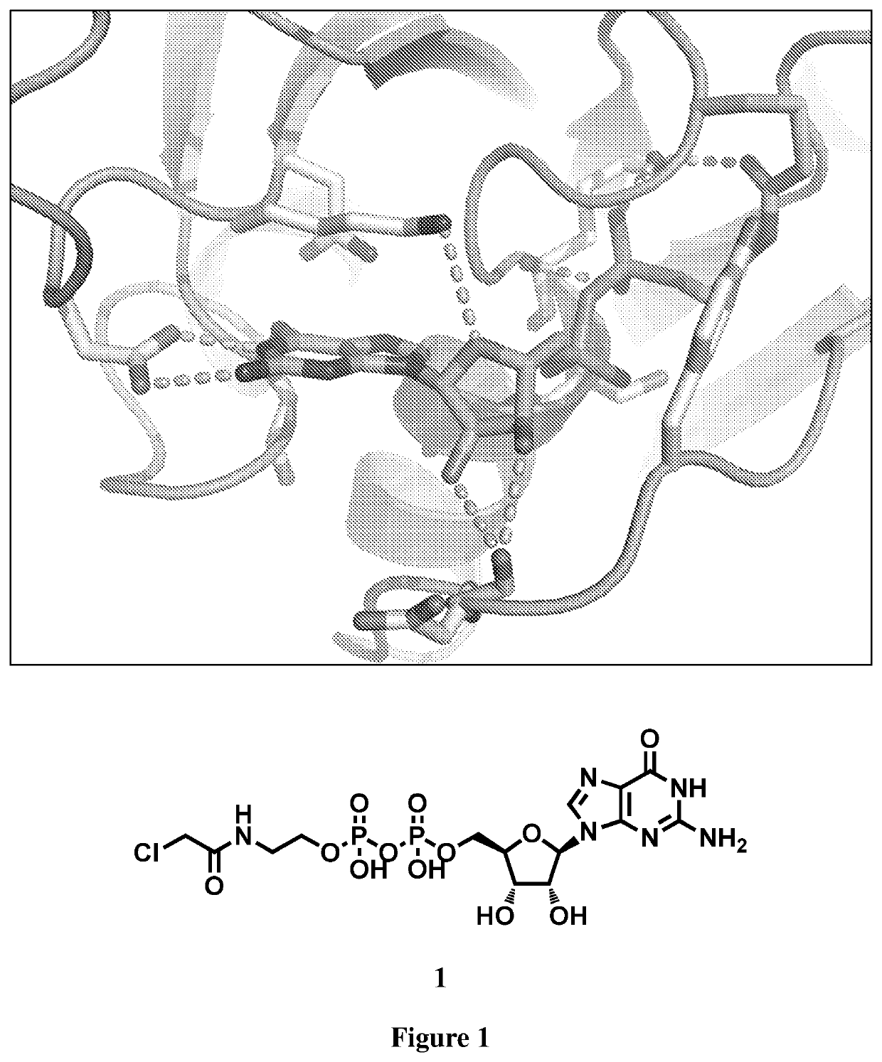 Ras inhibitors and uses thereof