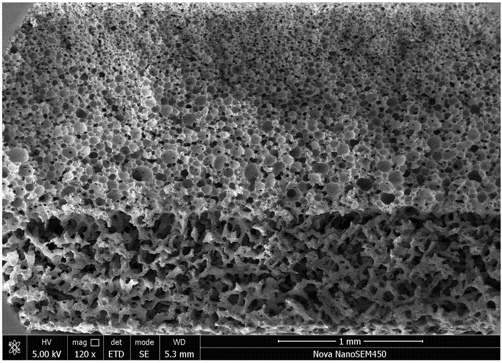 Polyurethane porous thin film containing grapheme as well as preparation method and application thereof