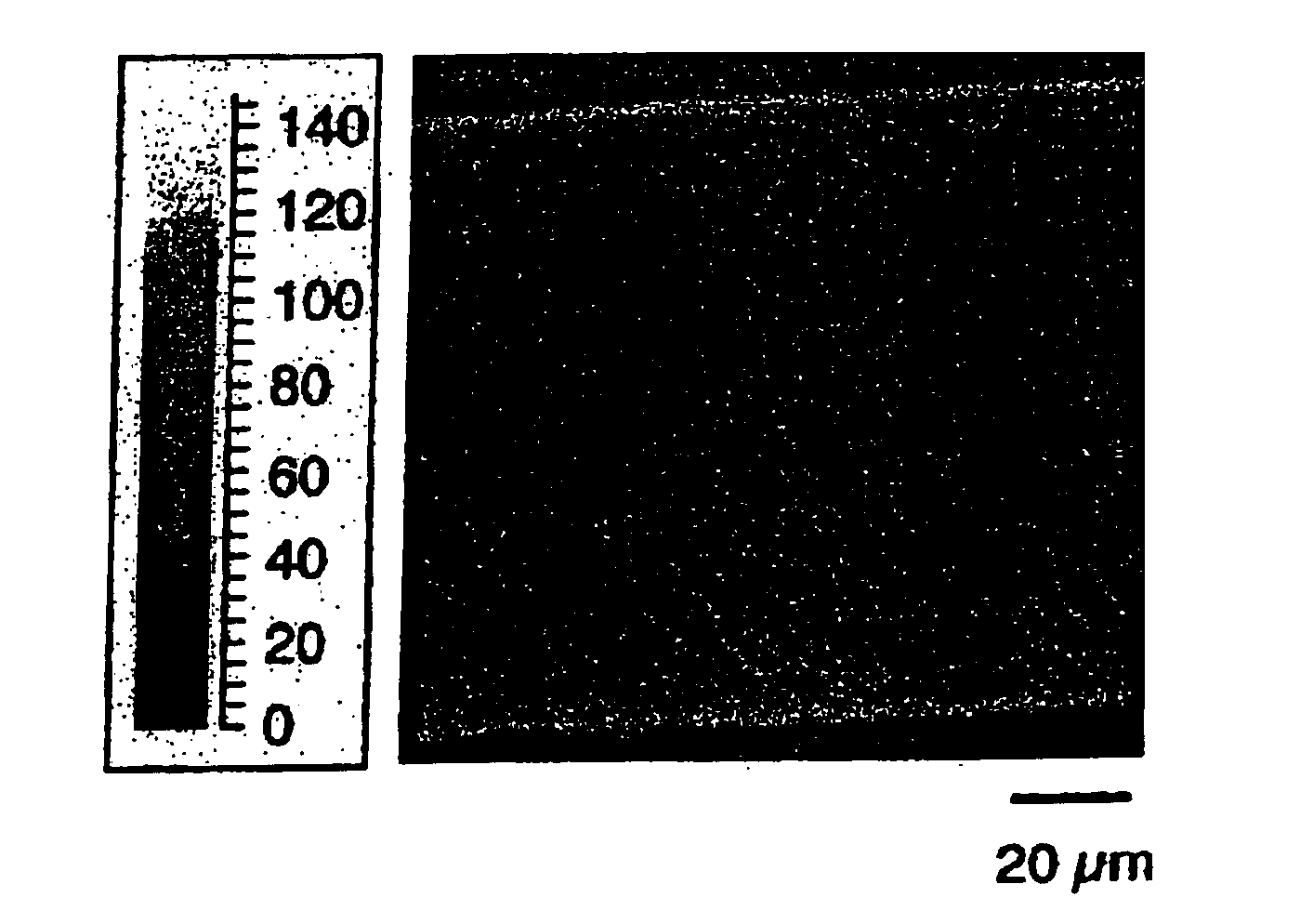 Detergent compositions with enhanced depositing, conditioning and softness capabilities