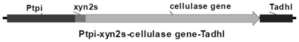 δ integration and secretion of industrial strains of Saccharomyces cerevisiae expressing cellulase and its application