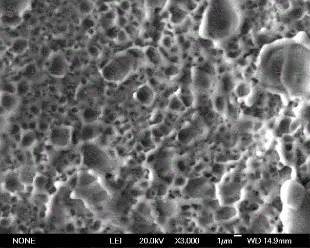 Coating type nano-palladium film catalytic electrode and its preparation method