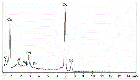Coating type nano-palladium film catalytic electrode and its preparation method