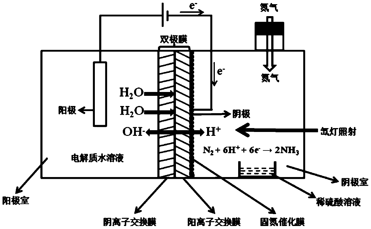 Device and method for synthesizing ammonia through photoelectrocatalysis nitrogen fixation