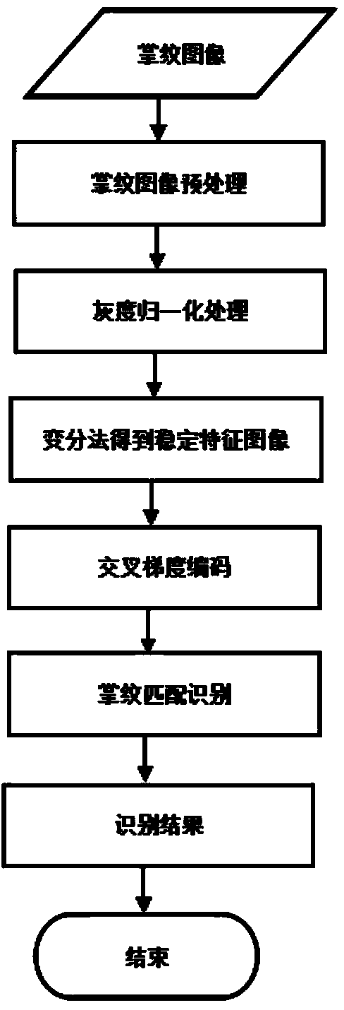 Palm print recognition method based on cross gradient encoding of image with stable characteristics