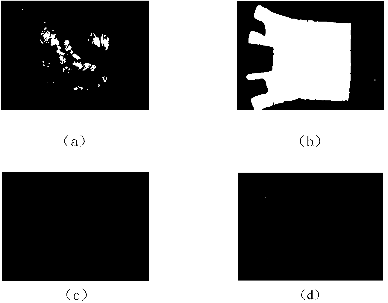 Palm print recognition method based on cross gradient encoding of image with stable characteristics