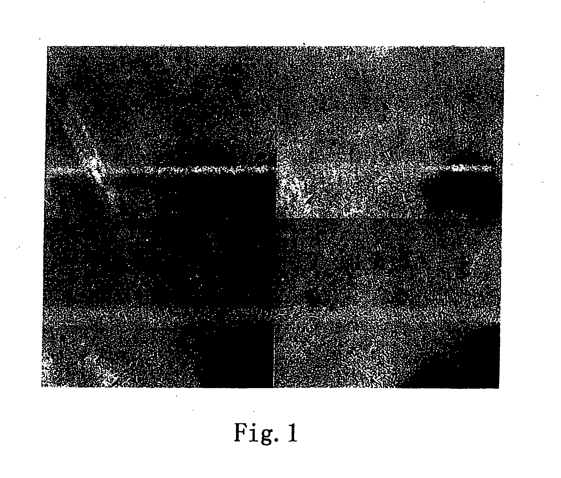 Substituted 5-membered n-heterocyclic compounds and their uses for treating or preventing neurodegenerative diseases