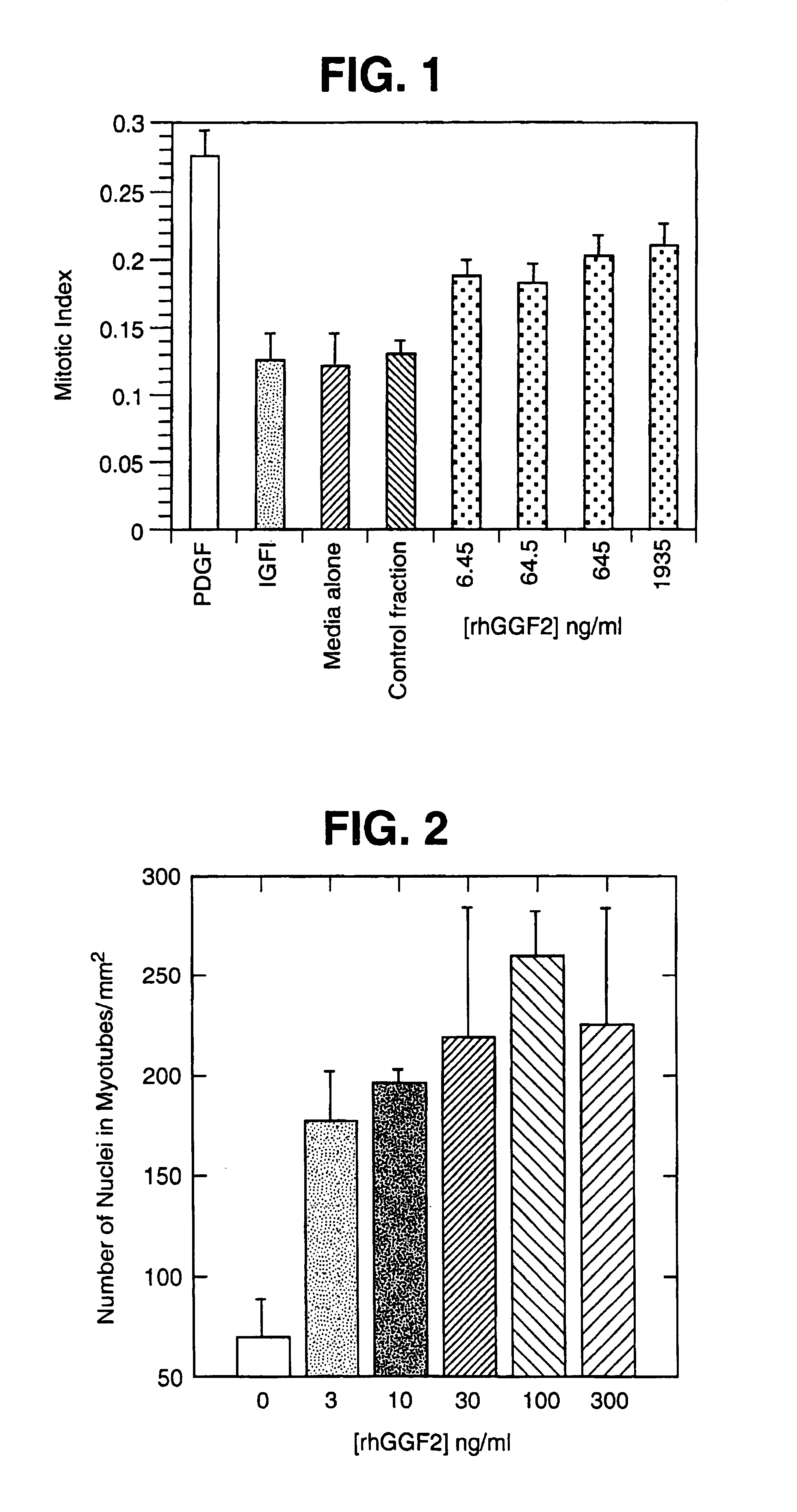 Methods of increasing myotube formation or survival or muscle cell mitogenesis differentiation or survival using neuregulin GGF III