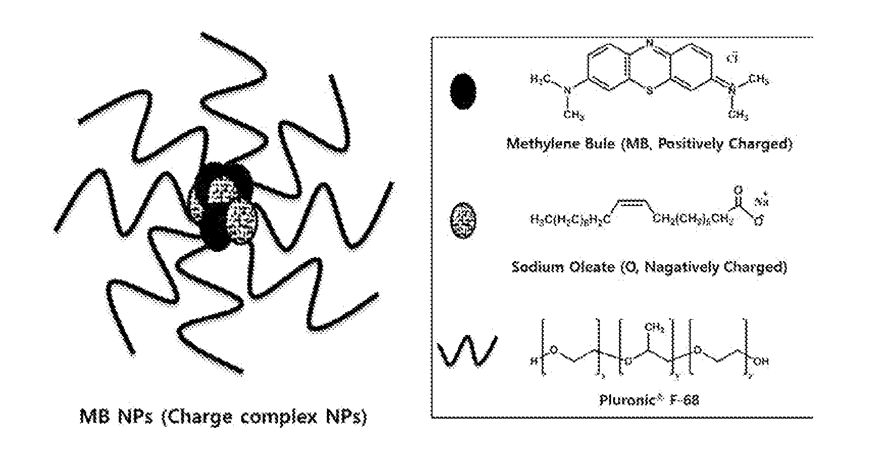 Methylene blue nanoparticle for bioimaging and photodynamic therapy and use thereof
