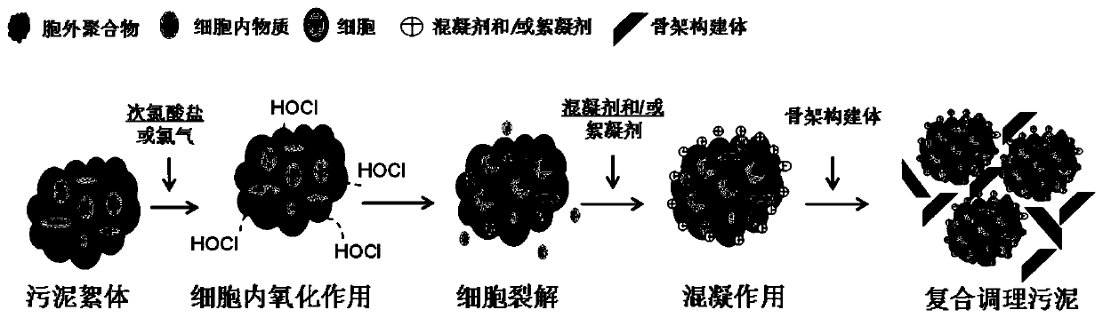Combined conditioning agent for sludge deep dewatering and mud cake stabilization and application of combined conditioning agent