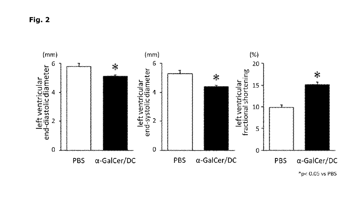 Pharmaceutical containing dendritic cells, and method for producing same