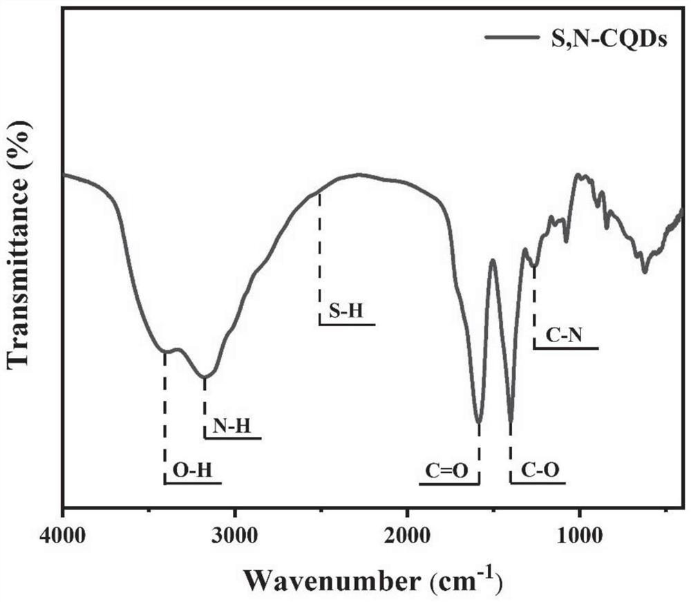 Sulfur-nitrogen-doped carbon quantum dot, preparation method thereof and application of sulfur-nitrogen-doped carbon quantum dot in mercury ion detection