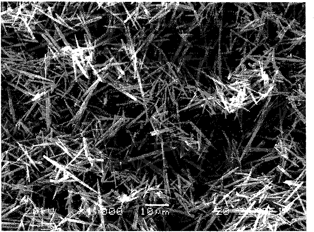 Method for preparing calcium carbonate crystal whisker with controllable shape