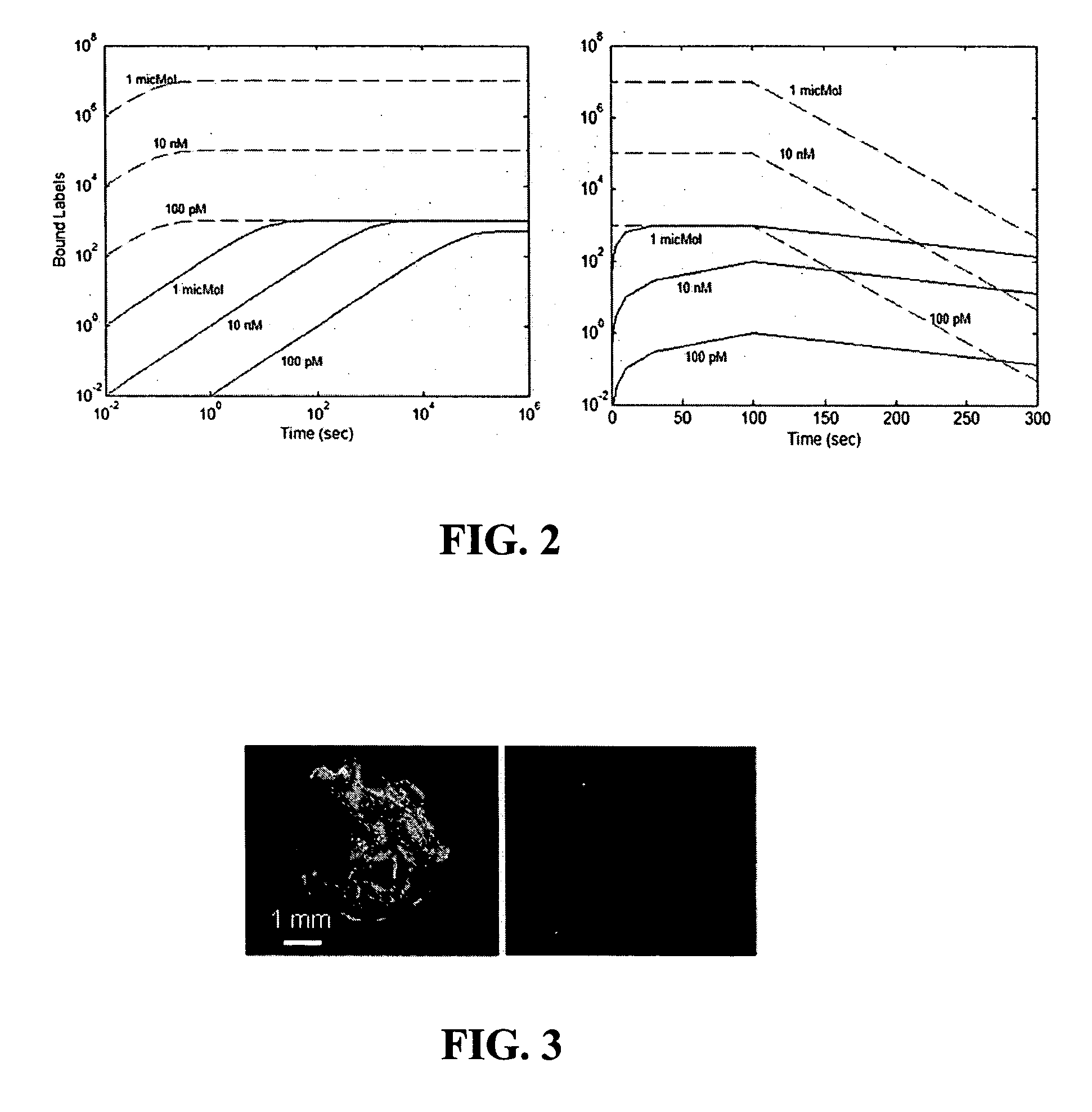 Methods and compositions for identifying chemical or biological agents using multiplexed labeling and colocalization detection