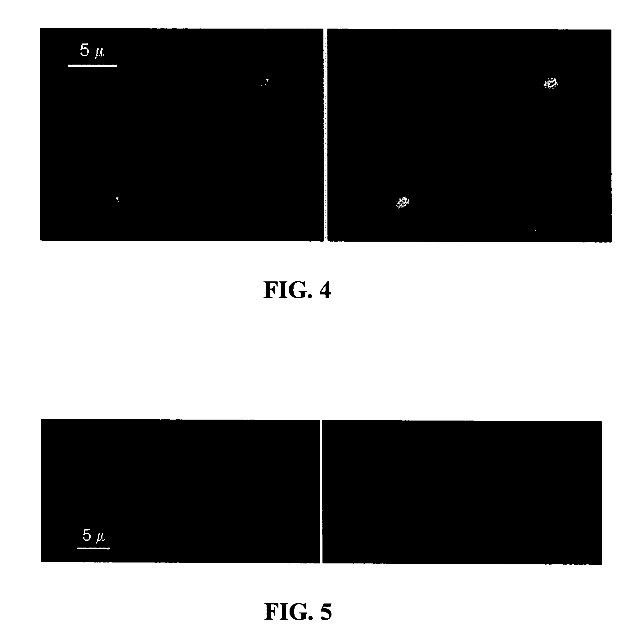 Methods and compositions for identifying chemical or biological agents using multiplexed labeling and colocalization detection