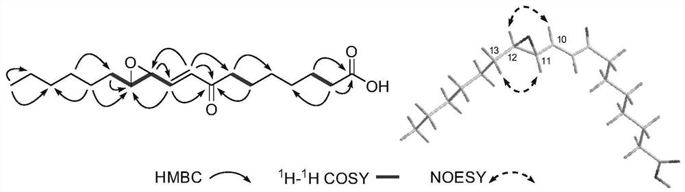 Unsaturated fatty acid compound as well as preparation method and application thereof