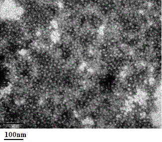 Livin-based immune-stimulating complex, preparation method thereof and application thereof