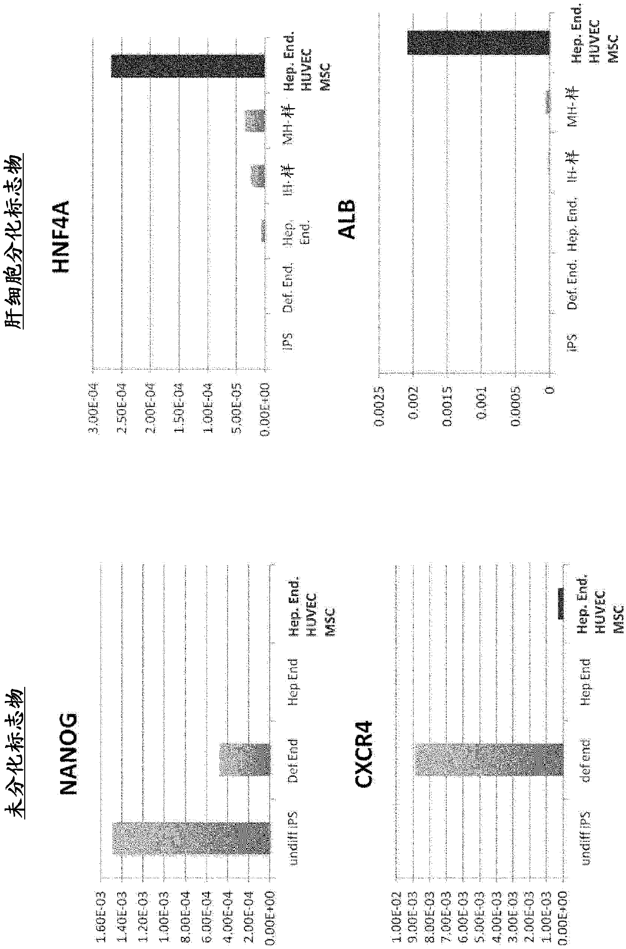 Methods of making tissues and organs