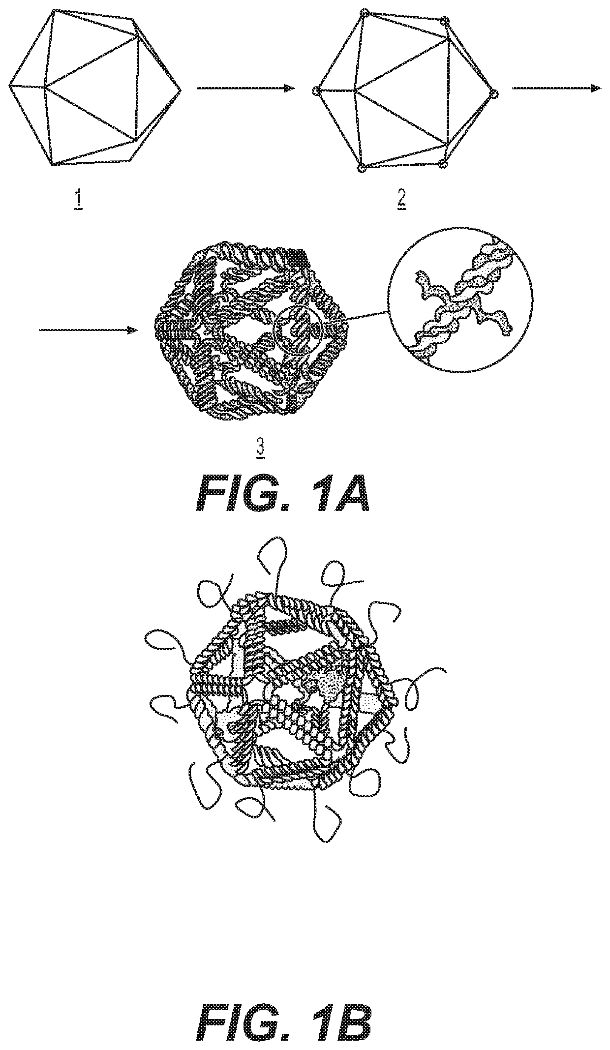 Nucleic acid assemblies for use in targeted delivery