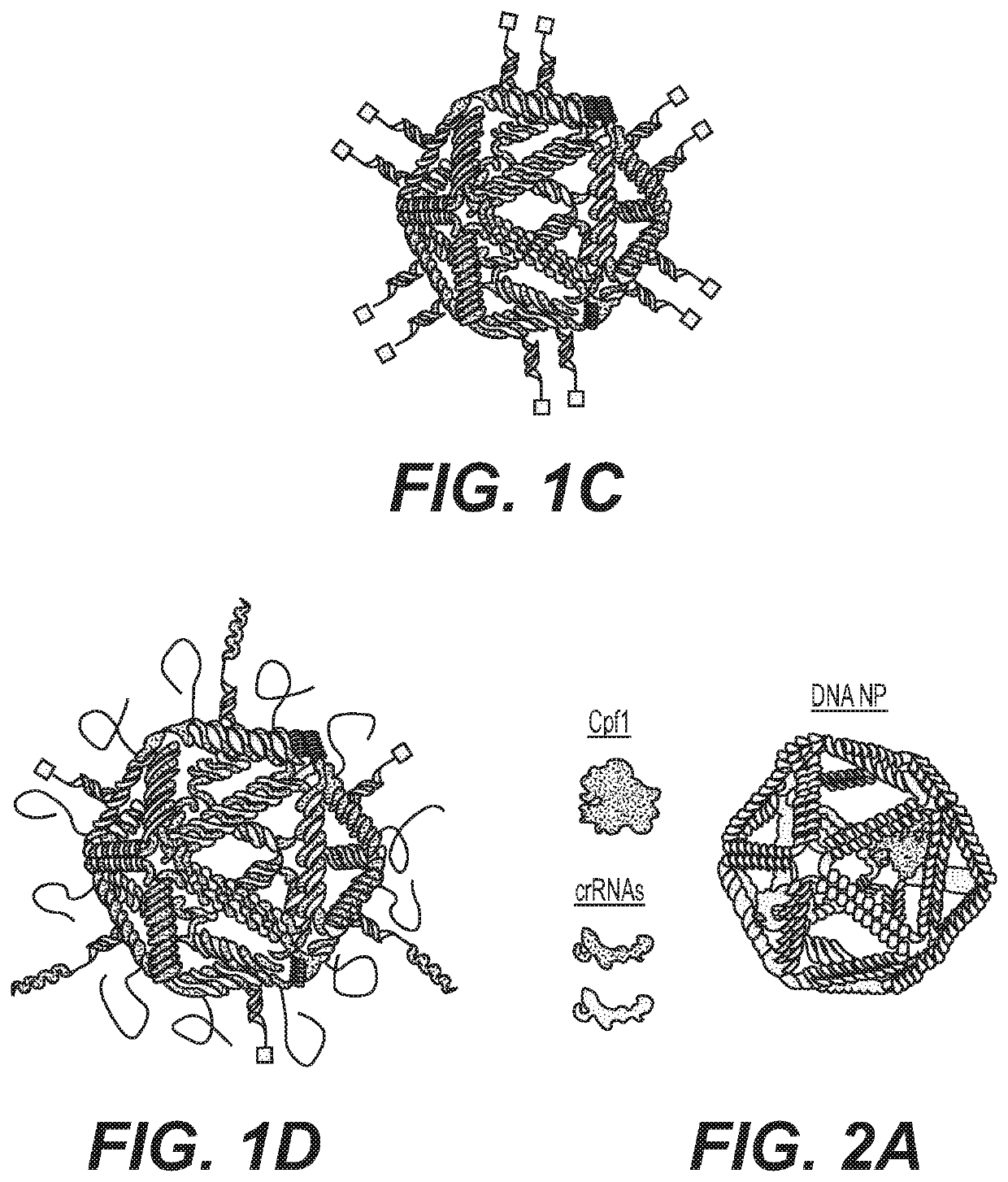 Nucleic acid assemblies for use in targeted delivery