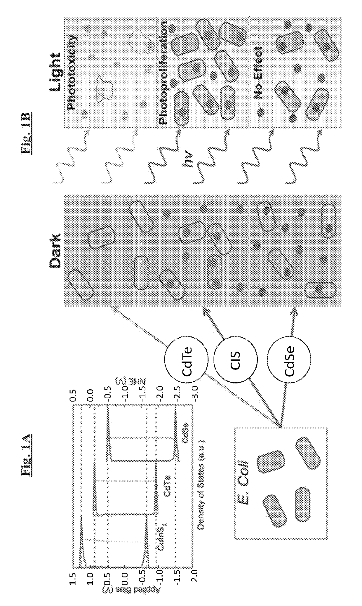 Light-activated compositions and methods using the same