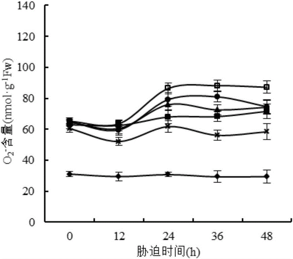Application of gamma-aminobutyric acid in improving salt stress resistant capacity of corn