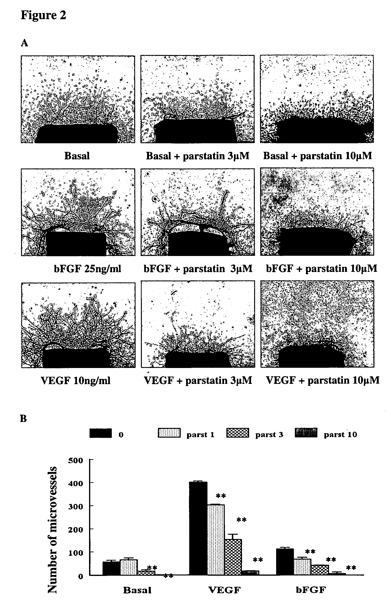 Bioactive parstatin peptides and methods of use
