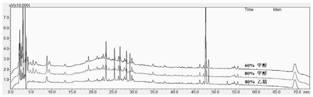 Establishment method of fingerprint spectrum of blood-enriching motherwort pills and quality detection method