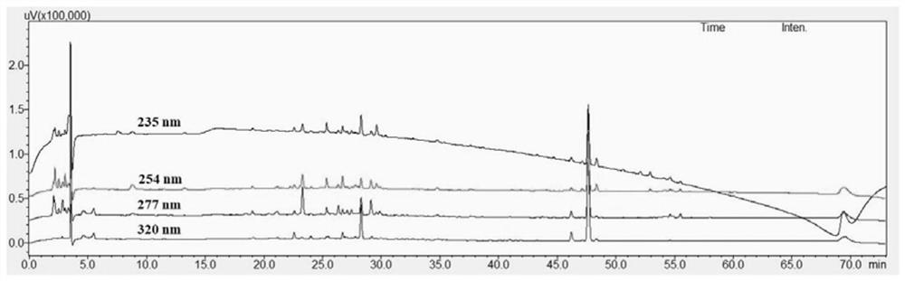 Establishment method of fingerprint spectrum of blood-enriching motherwort pills and quality detection method