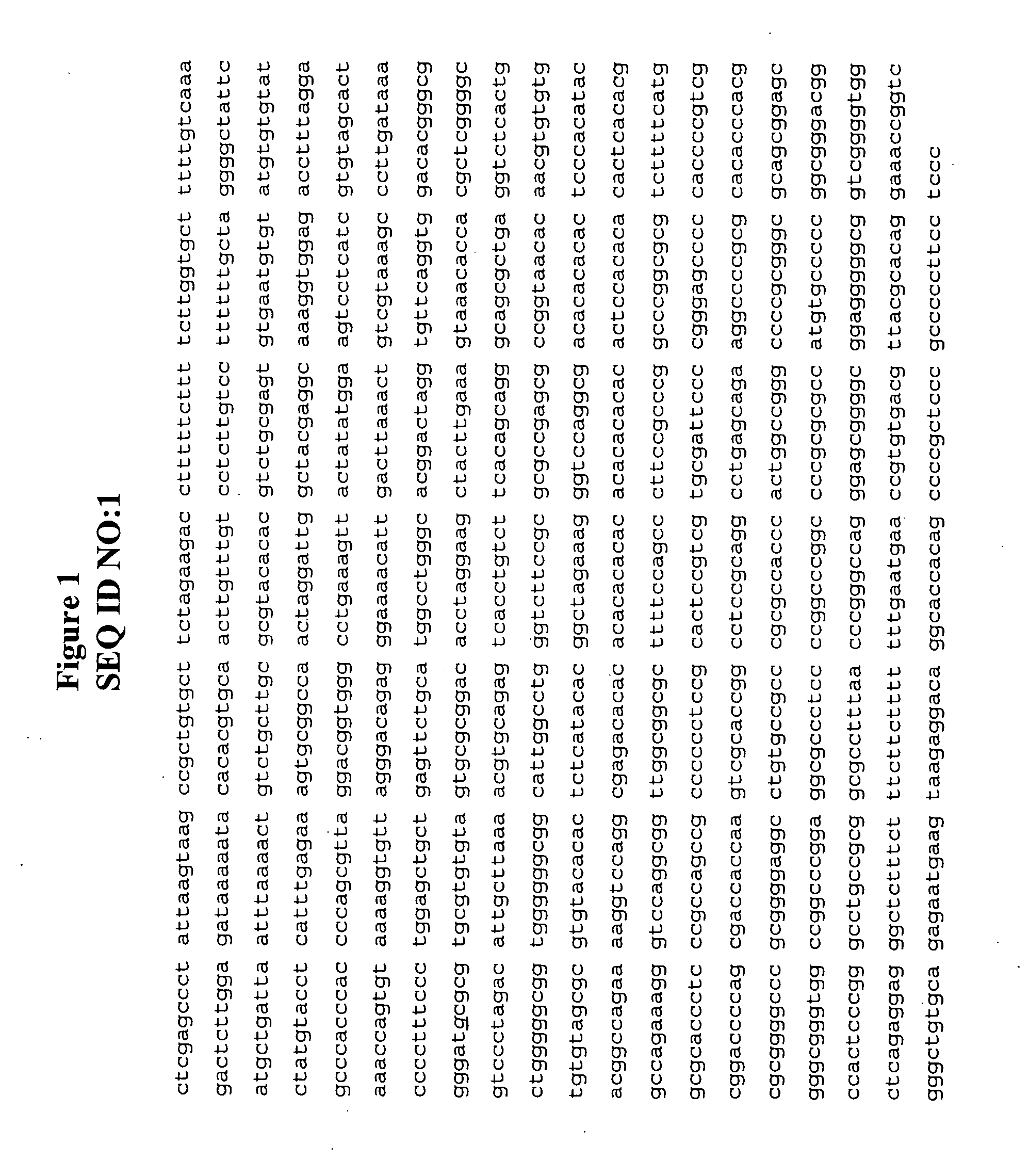Methods and compositions for the inhibition of gene expression