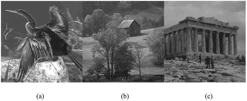 Encryption method for multiple color images based on complete ternary tree structure