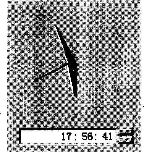 Screen vision recording method irrelated with hardware and operating system platform