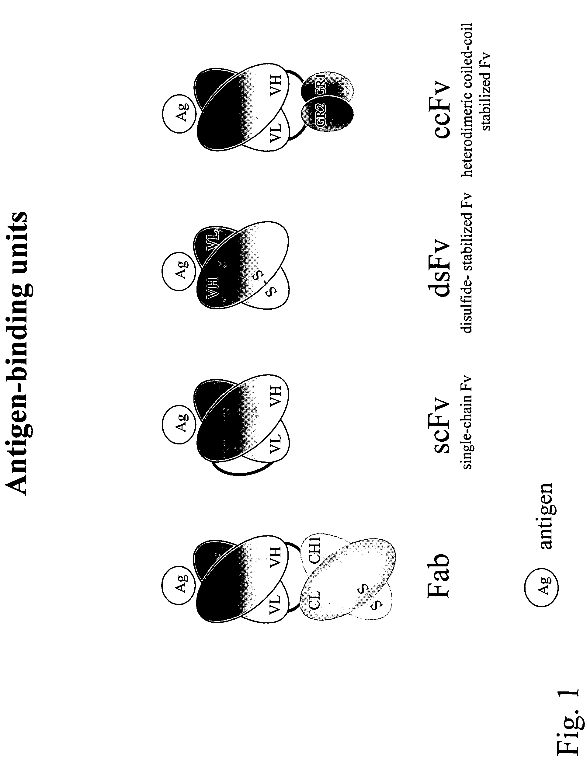 Compositions and methods for generating chimeric heteromultimers