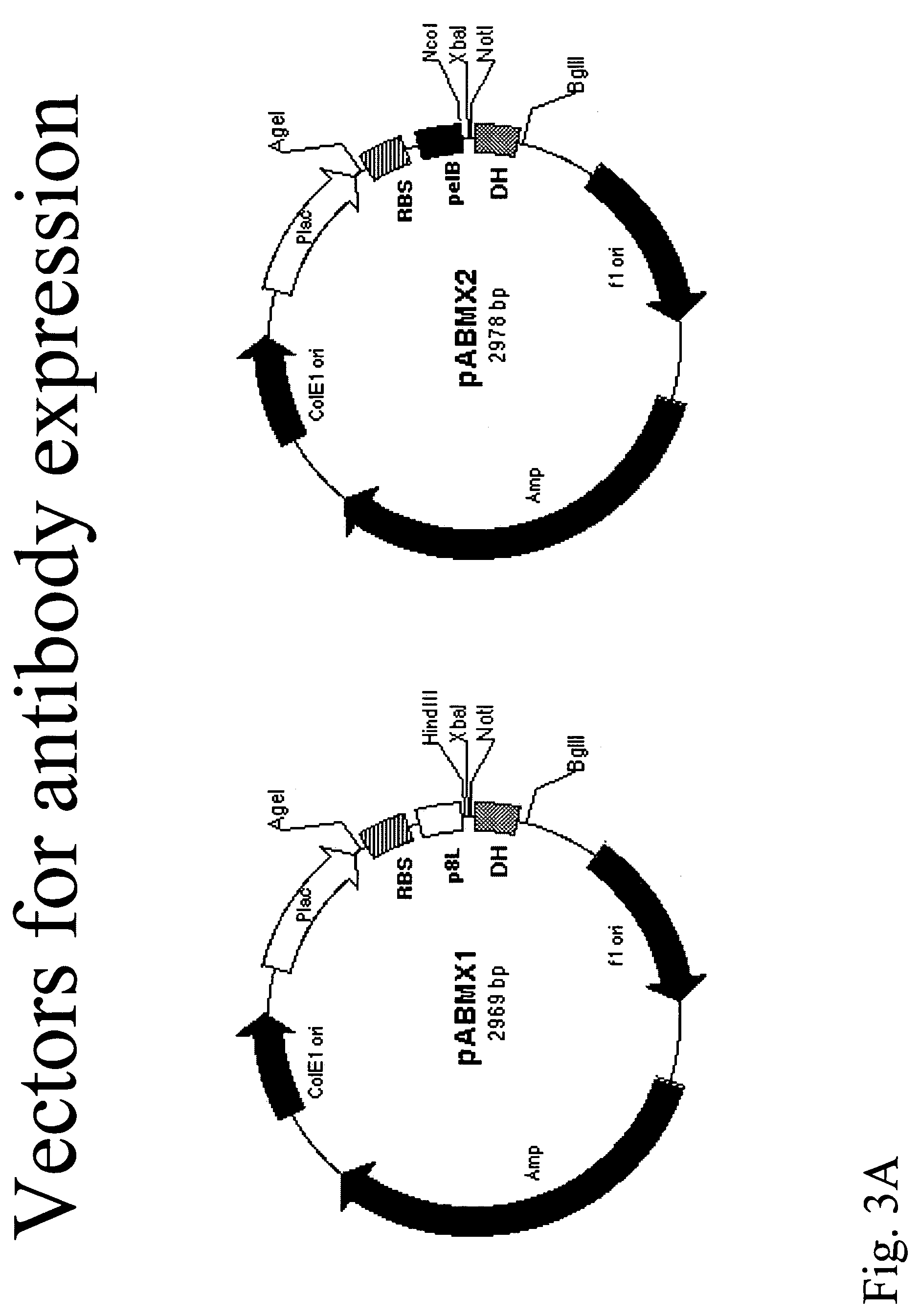 Compositions and methods for generating chimeric heteromultimers