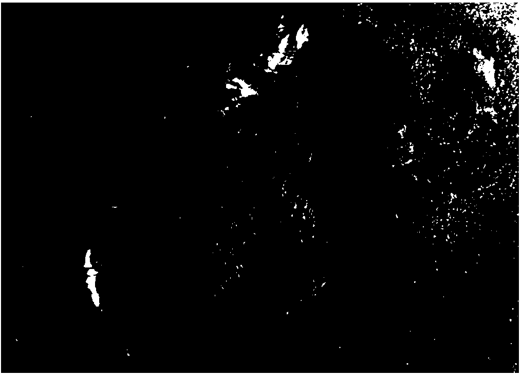 Protective coating used for titanium, applications thereof and titanium ingot producing method