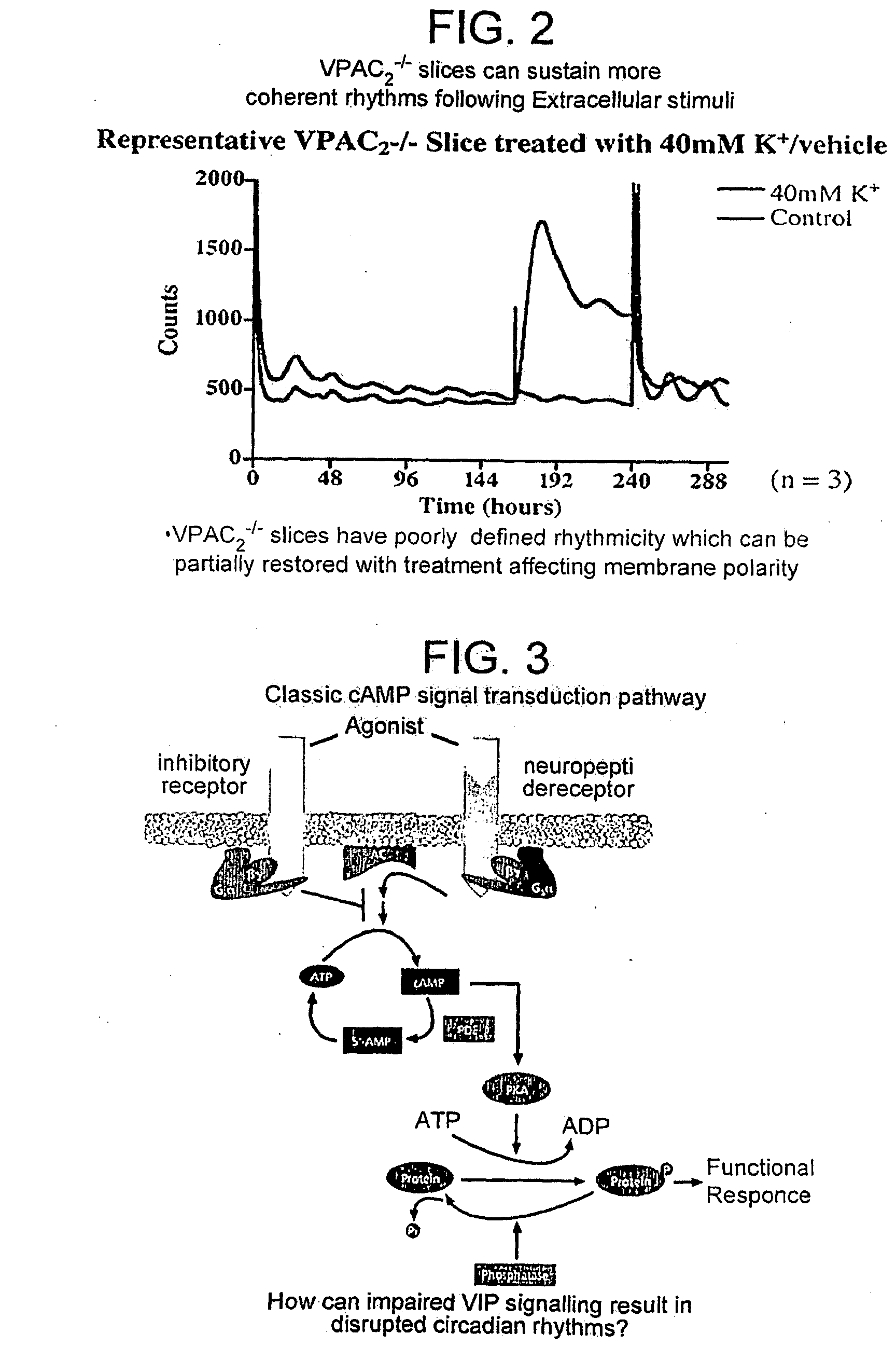 Inhibitor of Adenylyl Cyclase for Treating a Disorder of the Circadian Rhythm