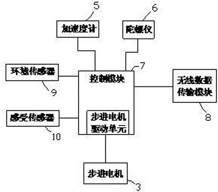 Vertical and balanced robot