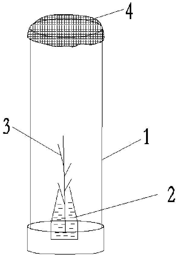 The brown orange aphid abcg4 gene and its dsRNA