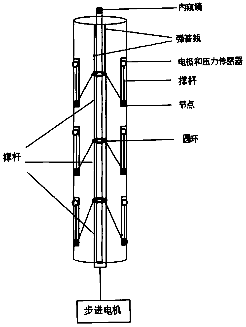 Minimally invasive supporting type rectum electrical impedance characteristic detecting device