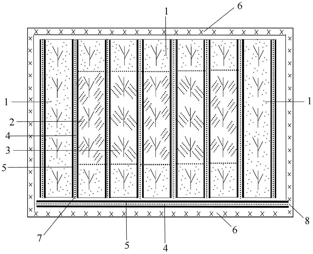 Construction method of three-dimensional functional hedgerow in peach orchard