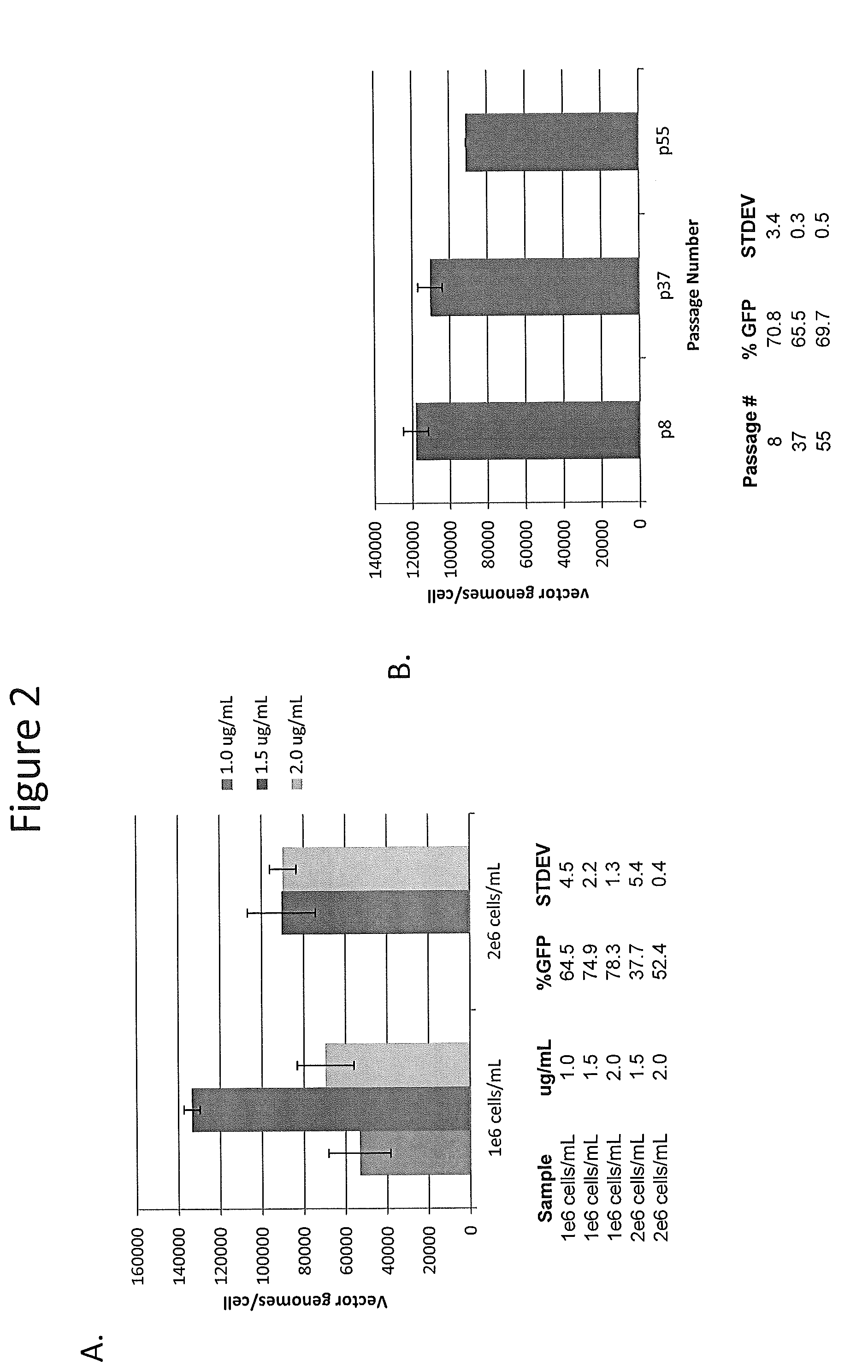 Cell line for production of adeno-associated virus