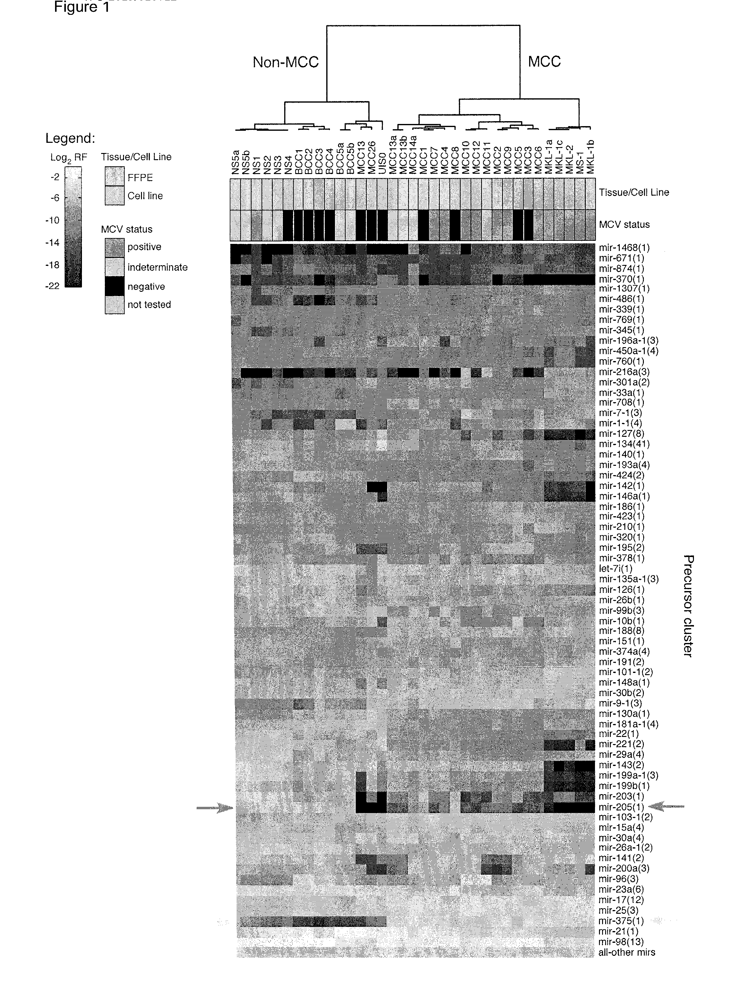 Methods for fixing and detecting RNA