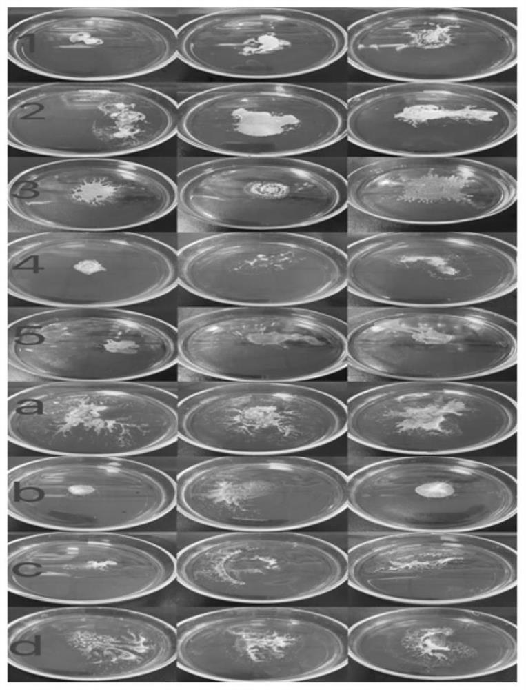 Cleansing oil containing soapberry oil and preparation method thereof