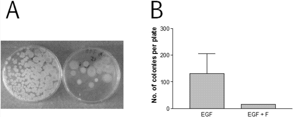 Application of fucoidan for enhancing storage stability of biological peptides