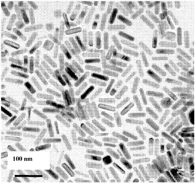 Method for preparing metal nanomaterial with simulated cell structure
