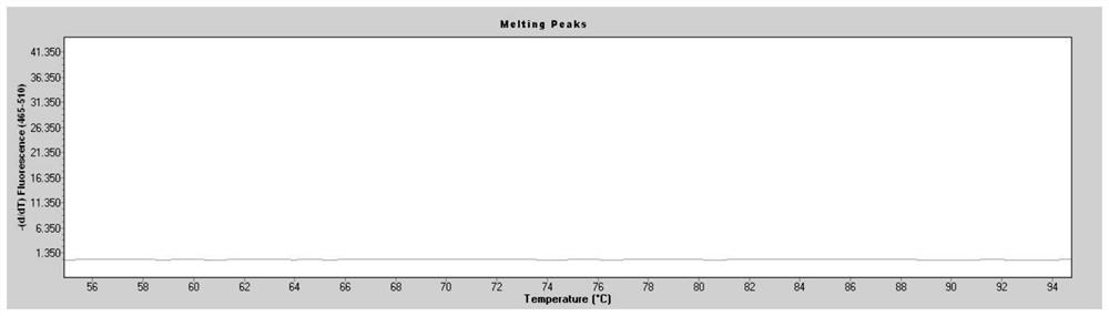 ALDH2 gene polymorphism detection kit and detection method