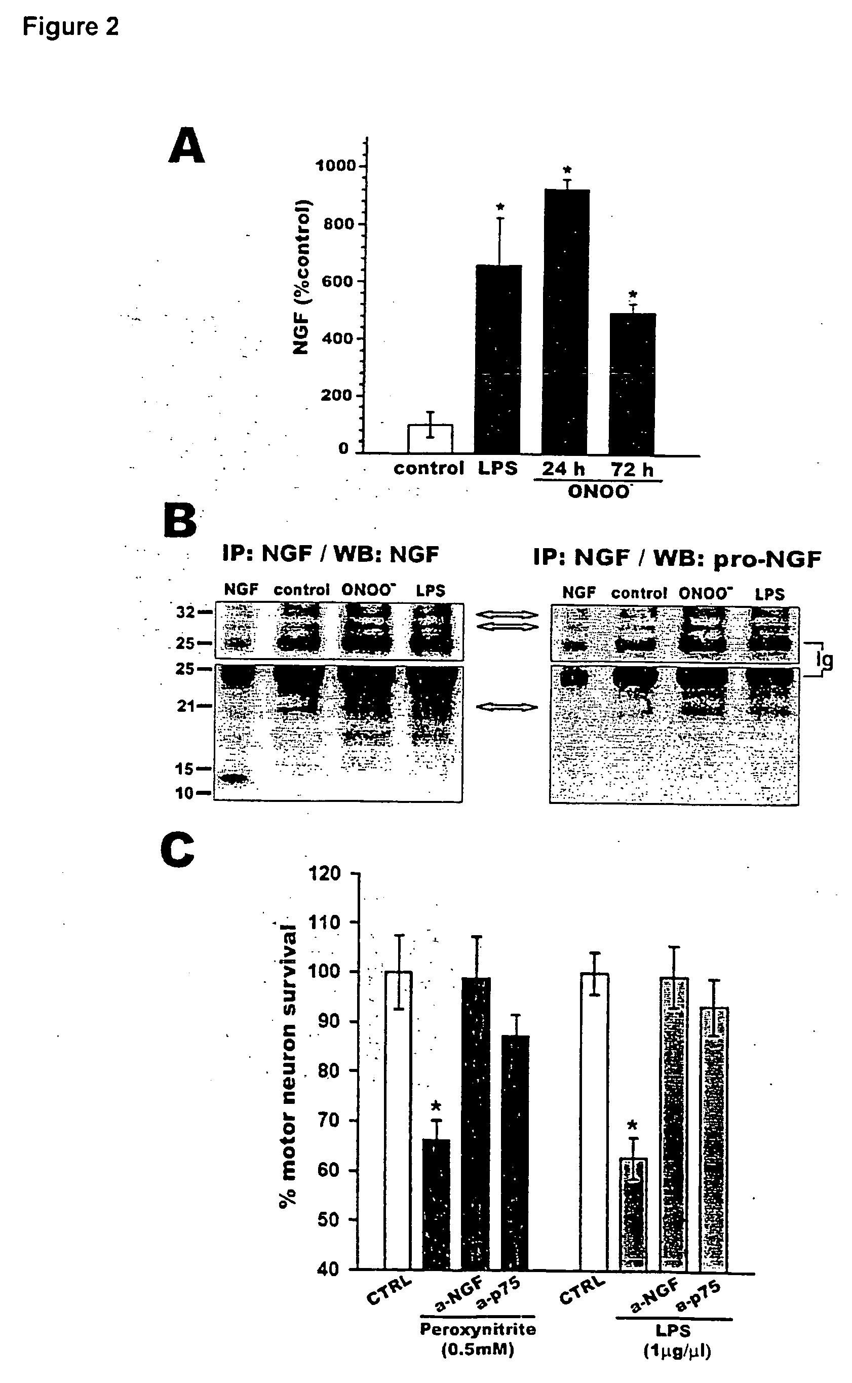 Active or passive immunization against proapoptotic neurotrophins for the treatment and/or prevention of neurodegenerative diseases