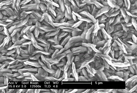 A kind of preparation method of solar cell precursor mo/cu/sn/zn multilayer film