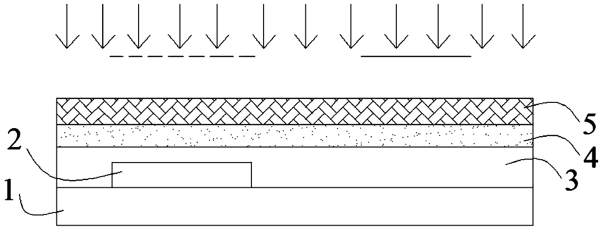 Display substrate, manufacturing method thereof and display device